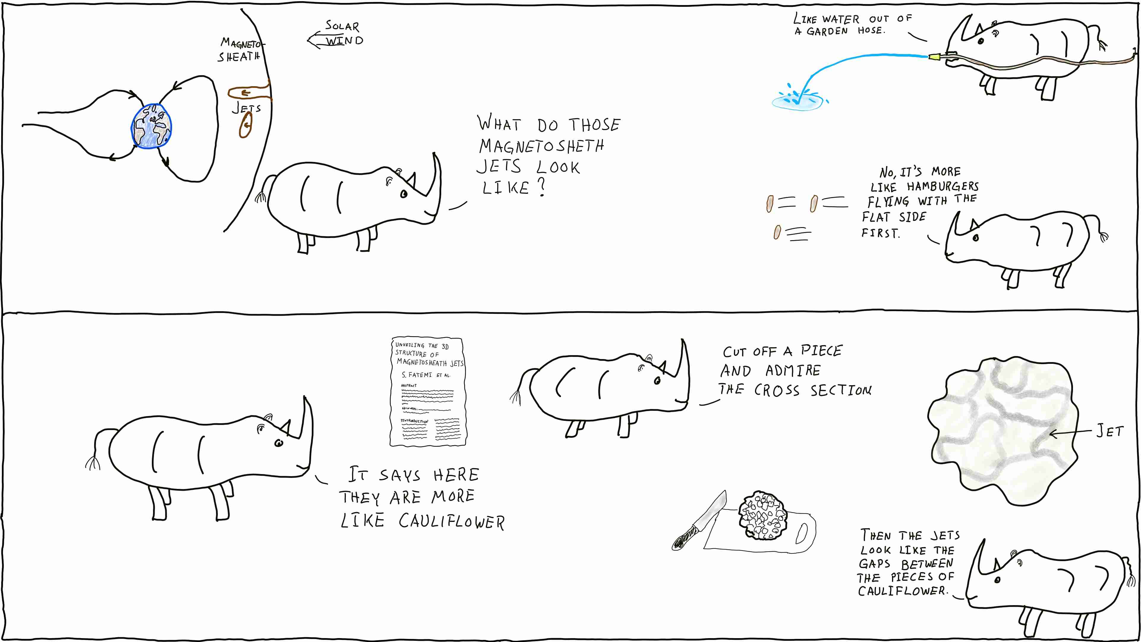 Rhinos discussing what magnetosheath jets actually look like