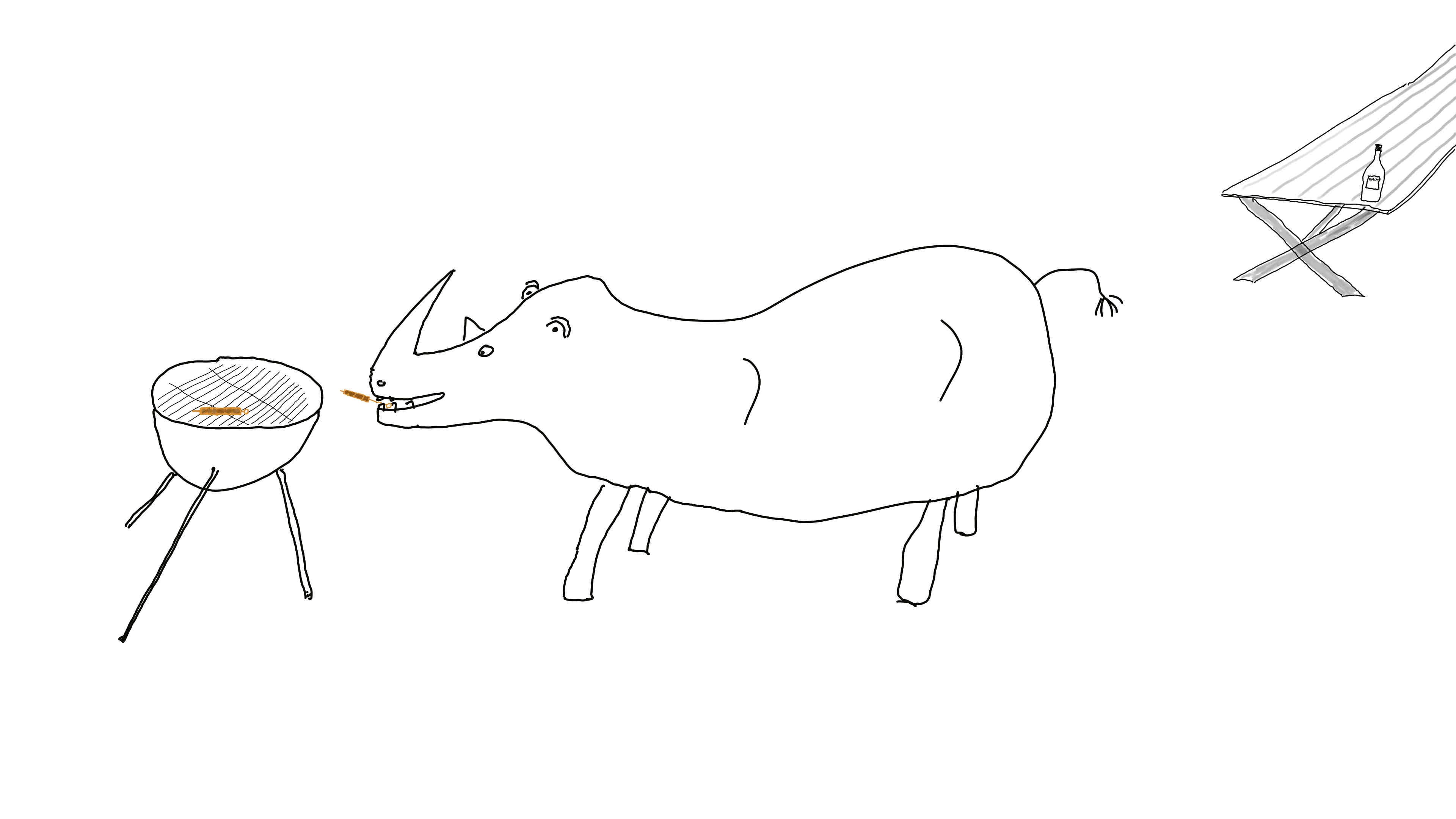 Rhino grills scewers