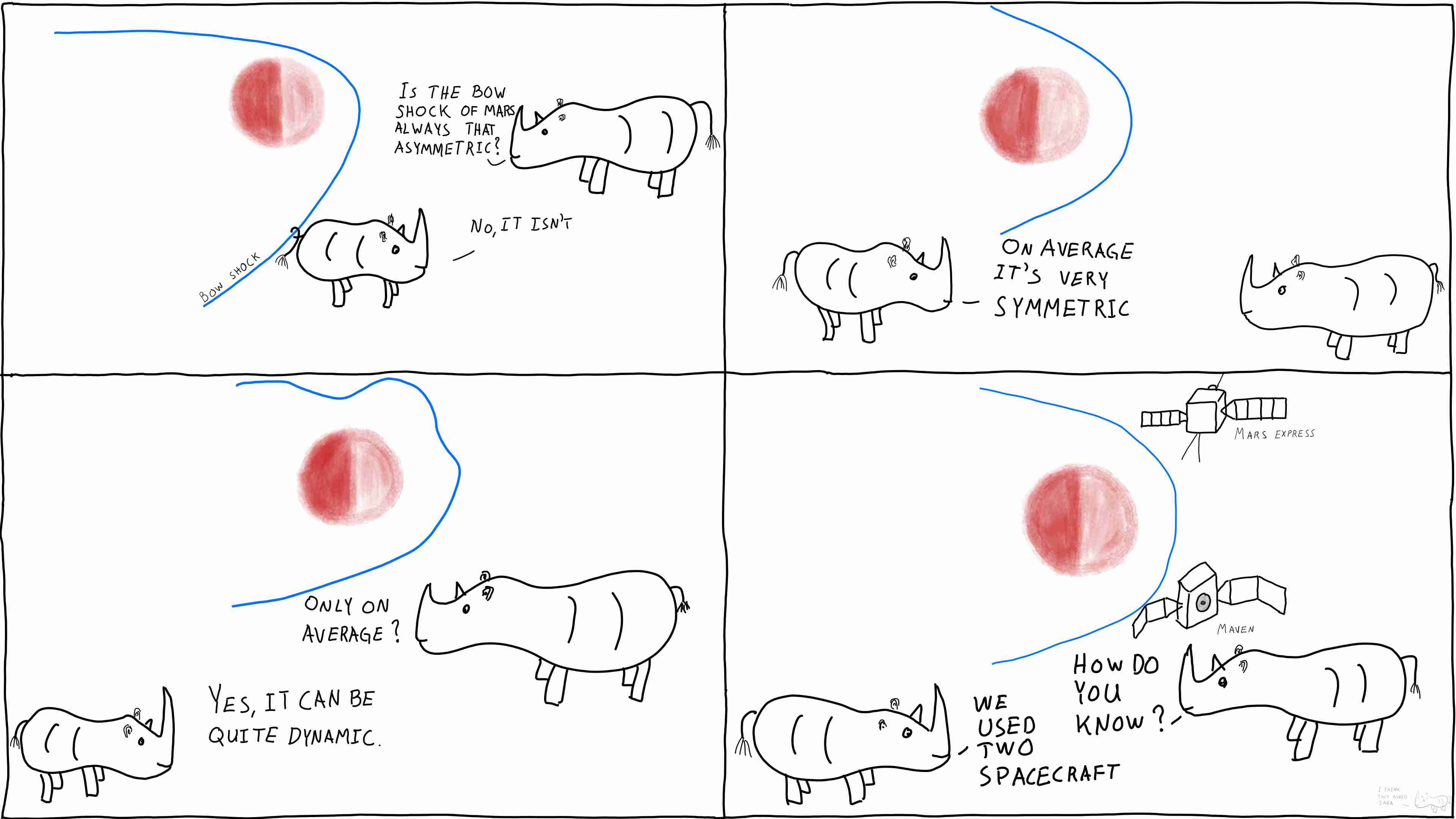 Rhinos discuss new findings on bow shock asymmetries