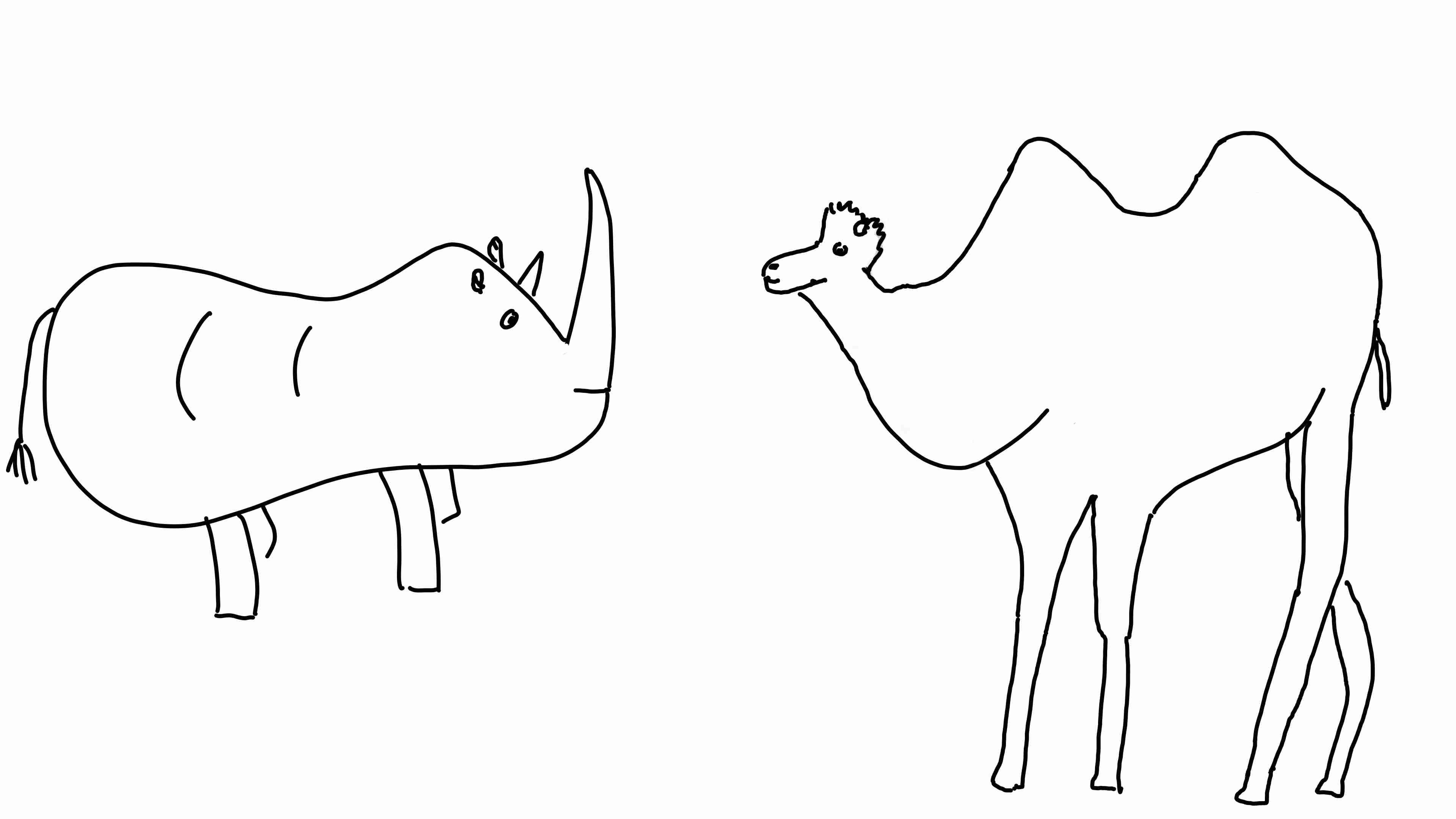 A rhino and a camel.