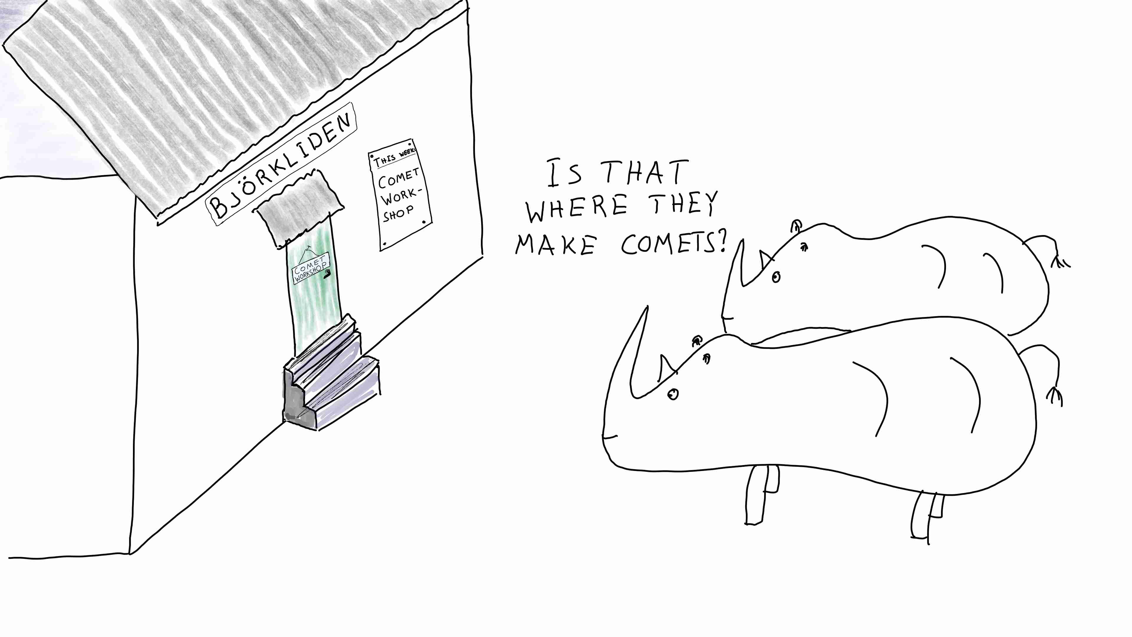 Rhinos wondering over workshop