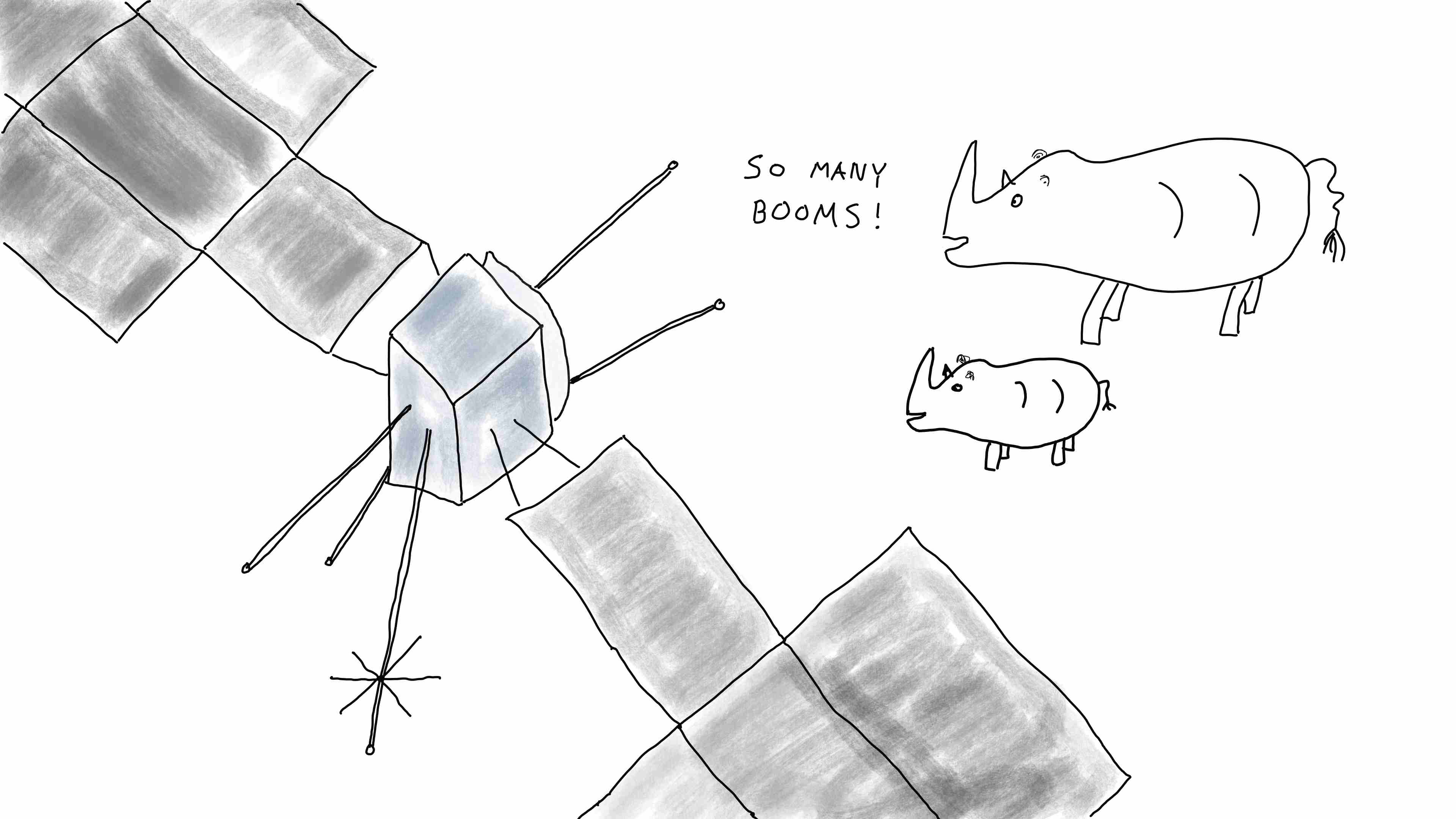 Rhinos in awe over the number of booms