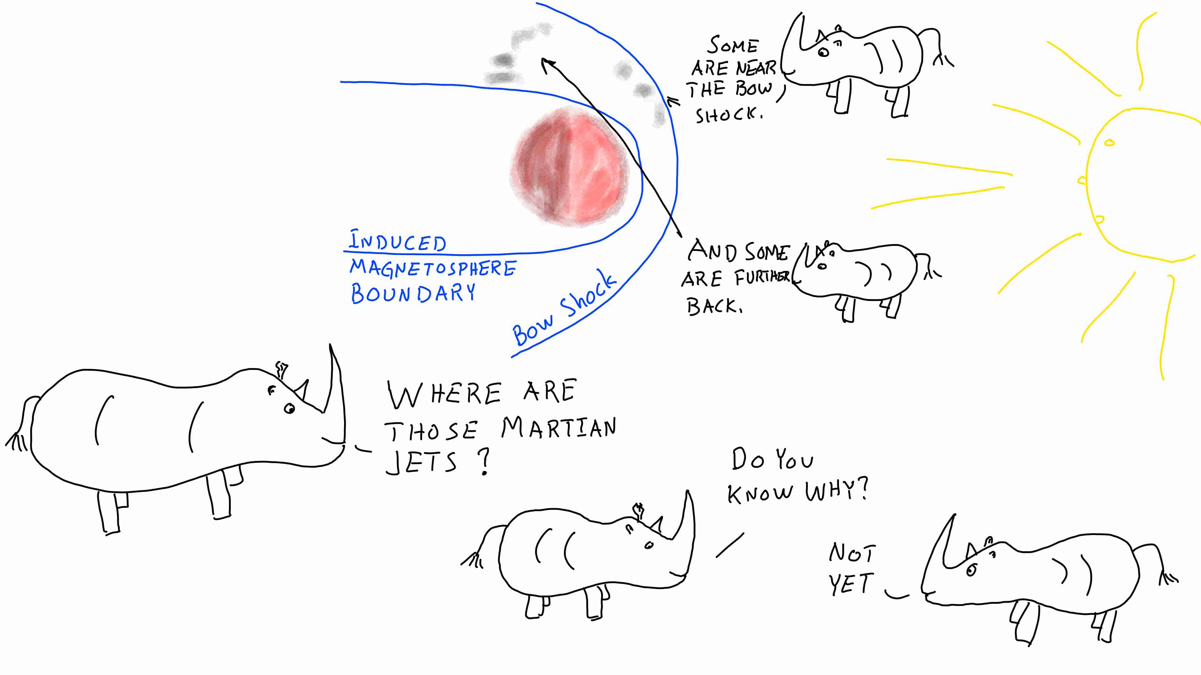 Rhinos discuss new findings on bow shock asymmetries