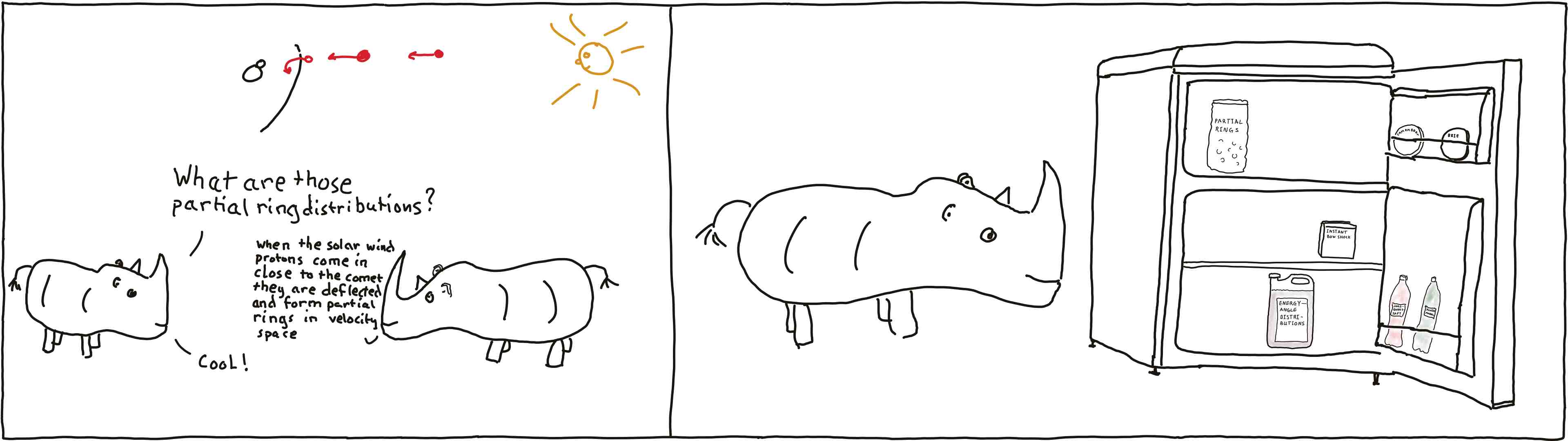 Rhinos explain the energy budget