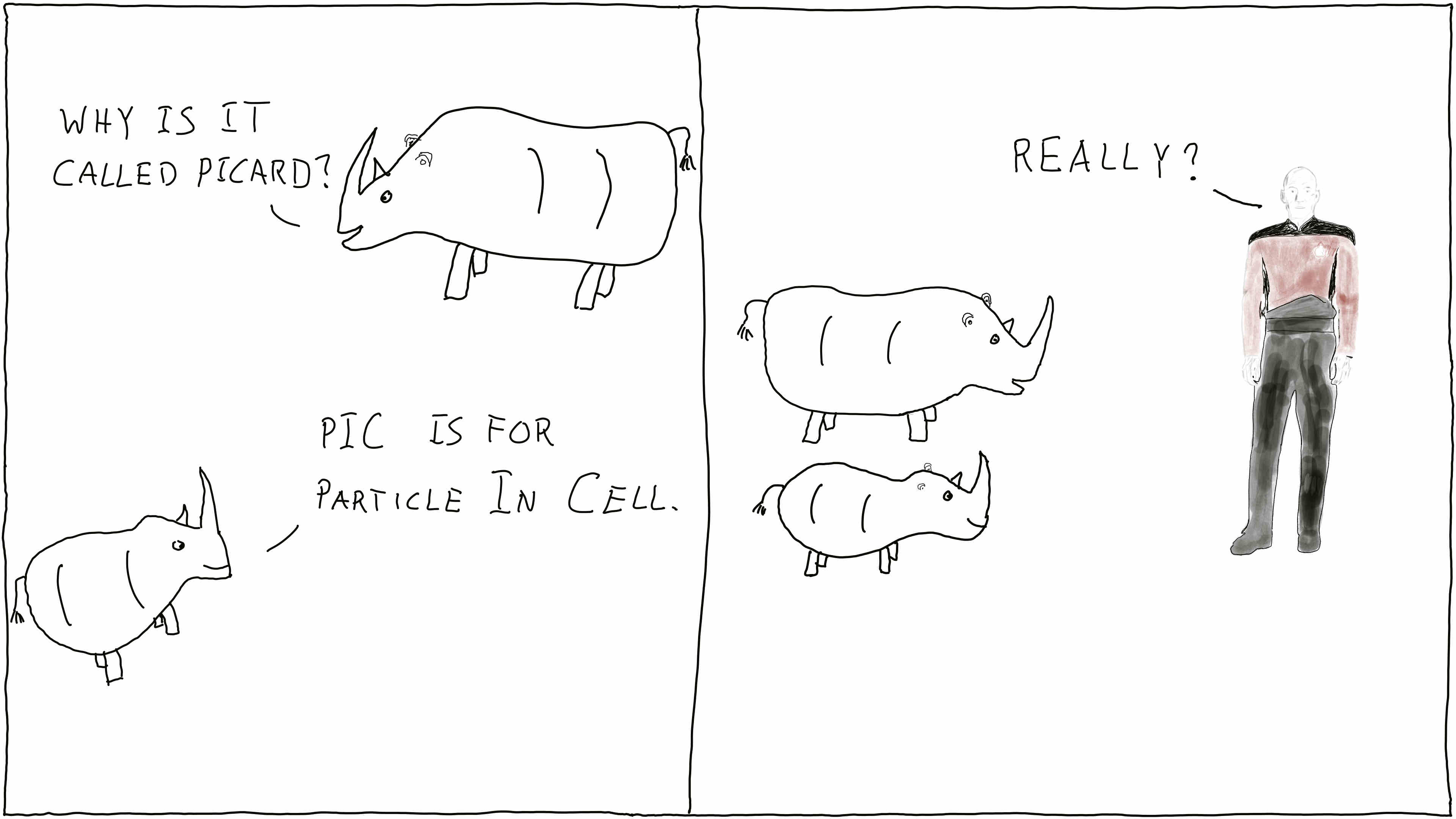 Rhinos discuss the name of an electrostatic Particle In Cell simulation code written in Fortran.