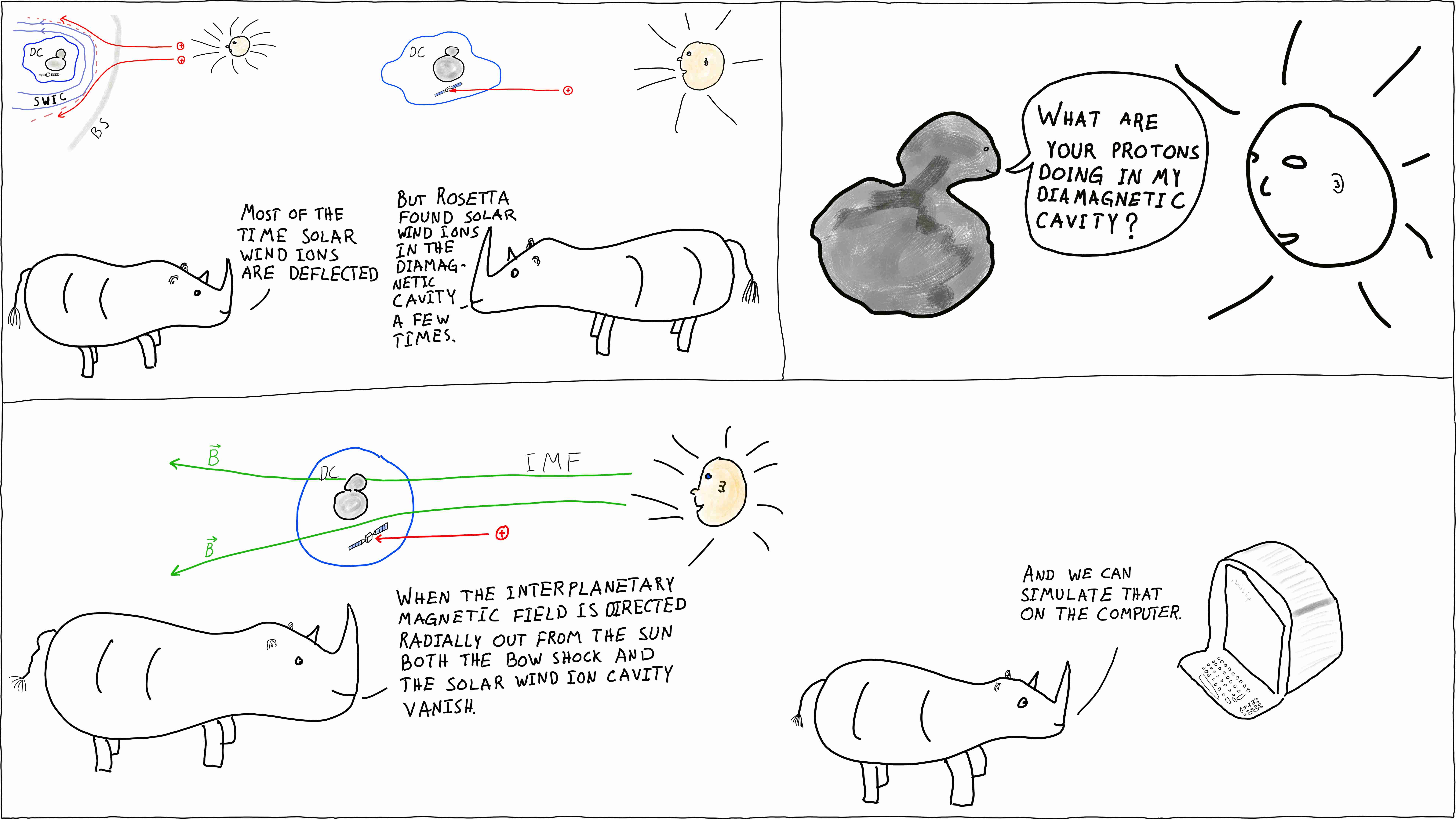 Rhinos contemplate solar wind protons inside a diamagnetic cavity