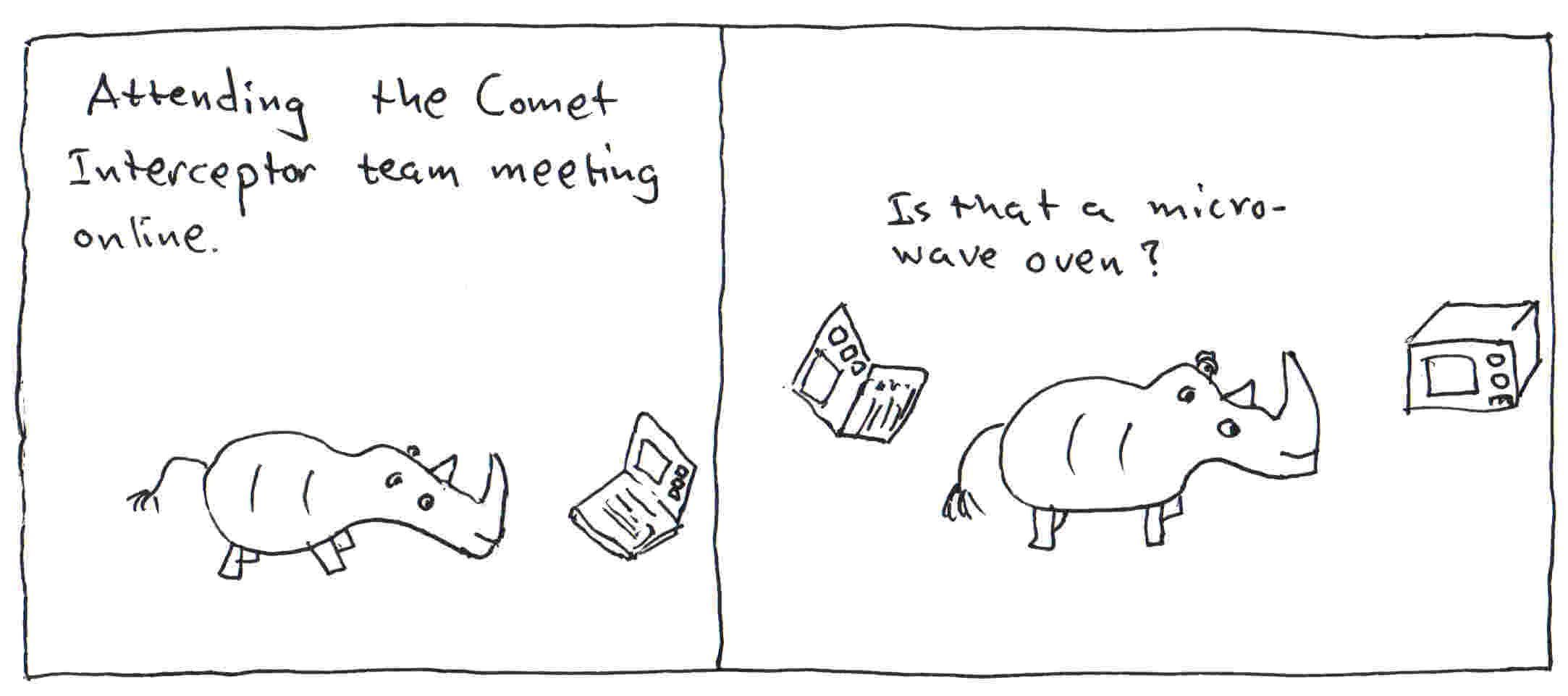 Rhino attends online meeting about the Comet Interceptor space mission