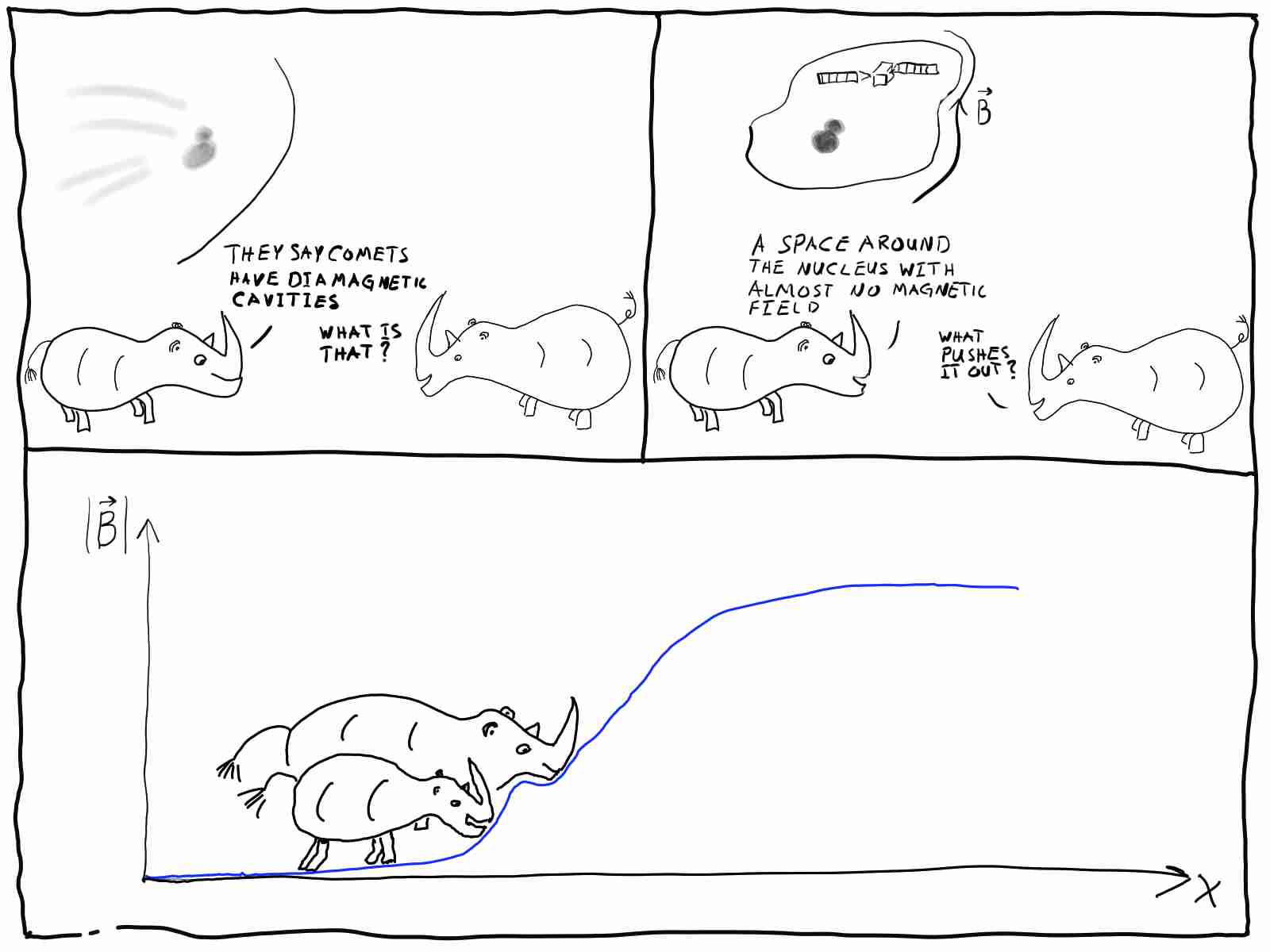 Rhinos working on the diamagnetic cavity