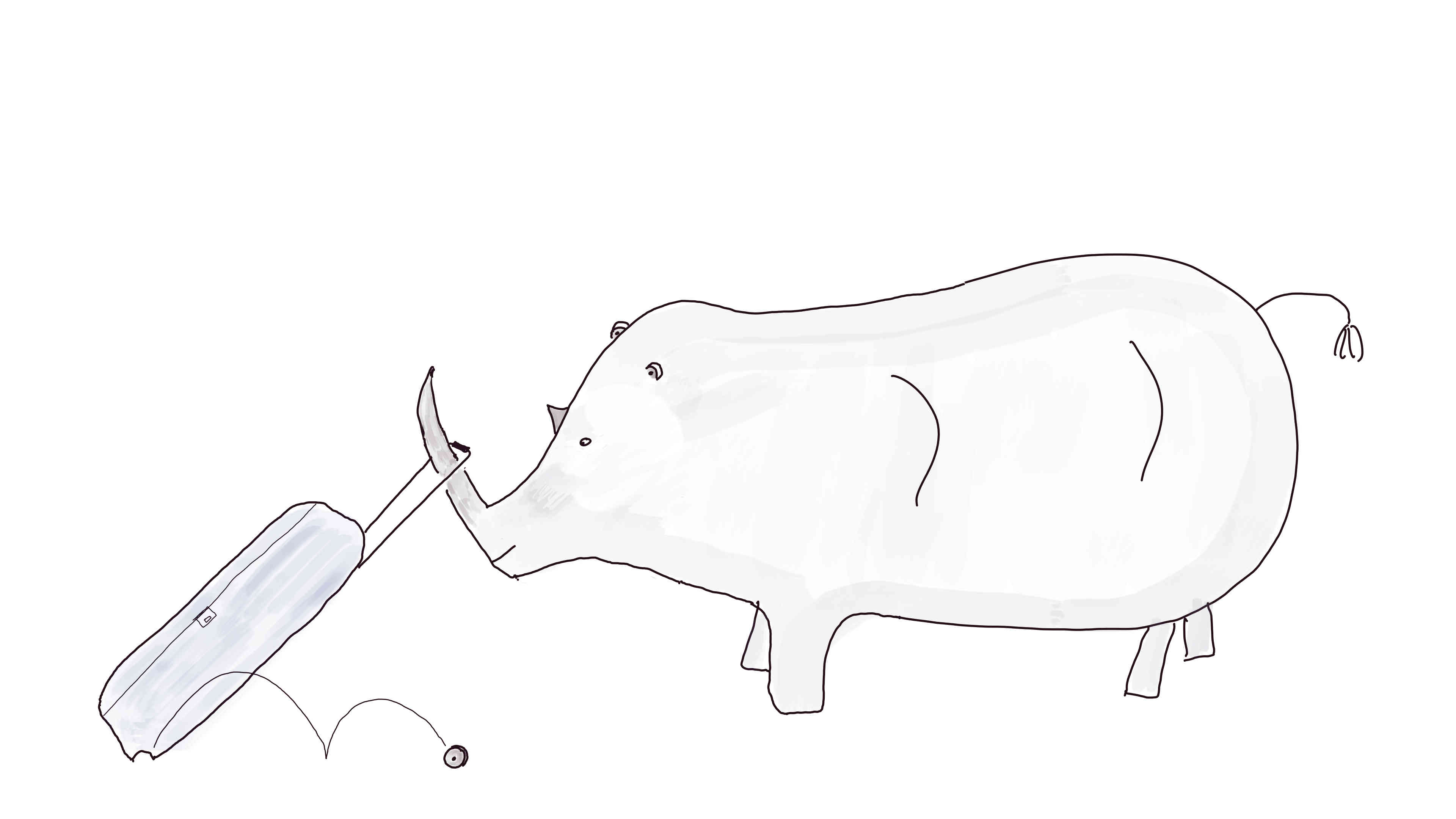 Rhino loses suitcase wheel