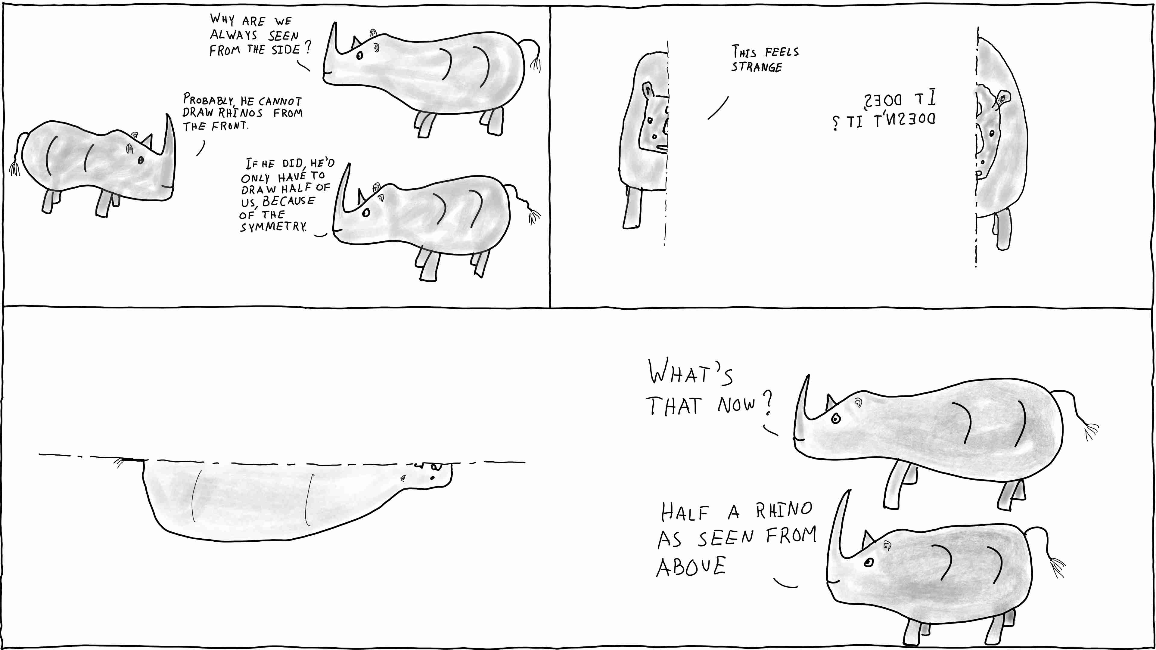 Rhinos talking about symmetry