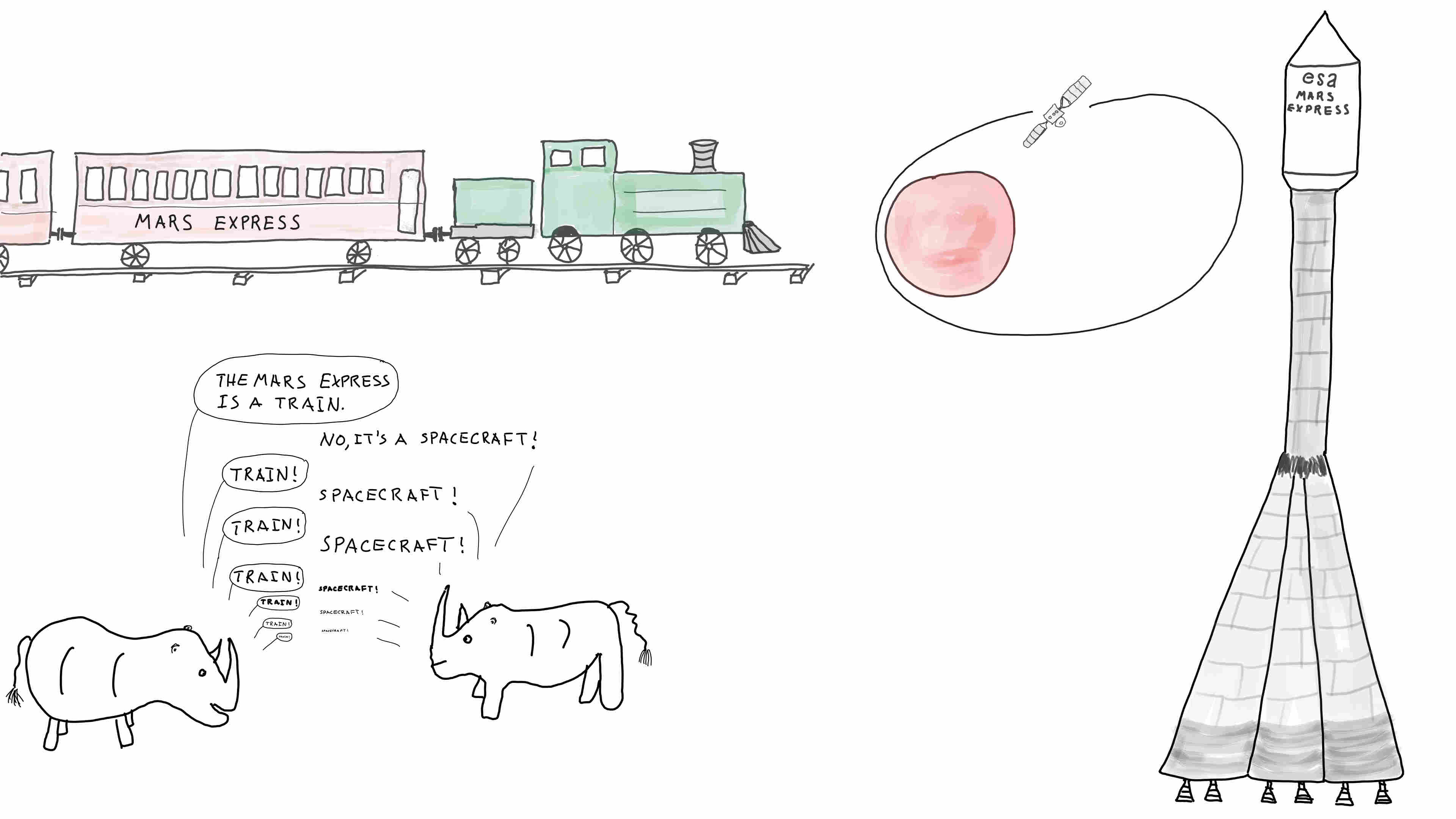 Rhinos discussing MEx