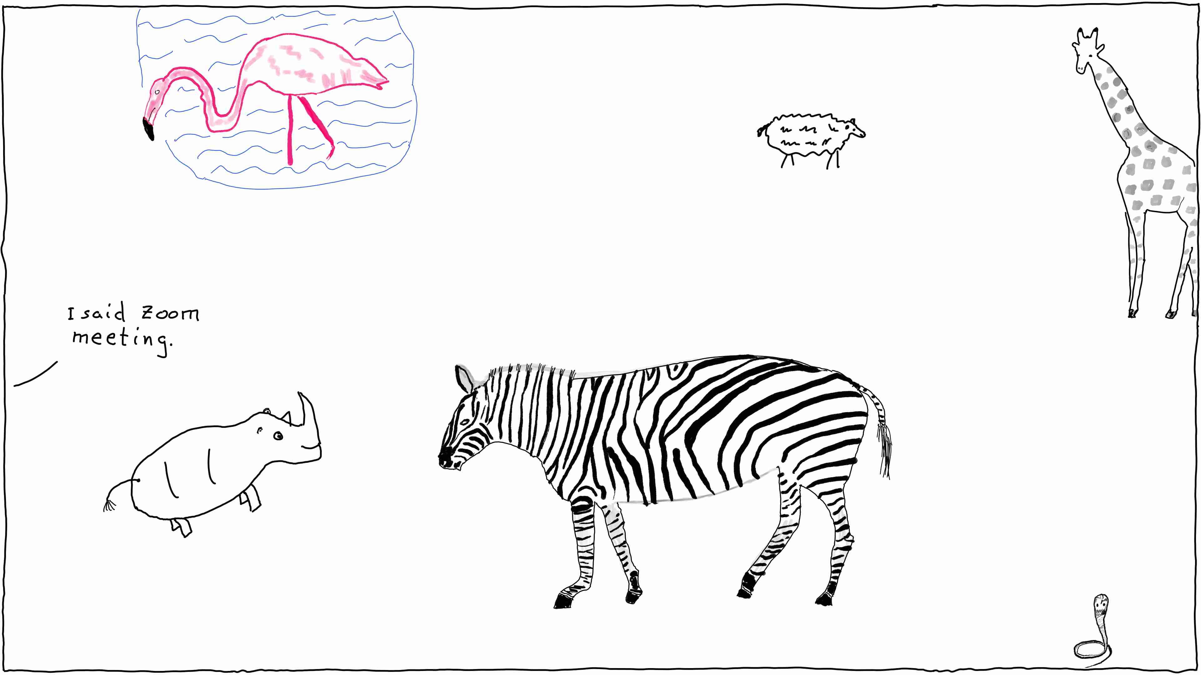 Rhino goes to zoom meeting