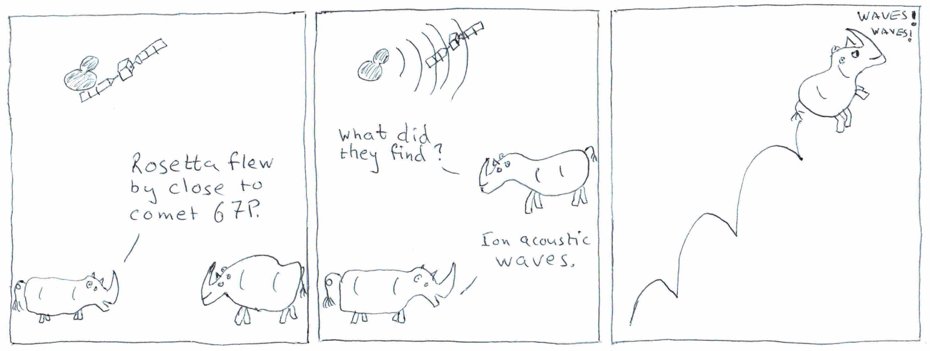 Rhinoceros rejoicing over waves.